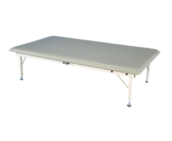 Armedica AM-650 5' Electric Mat Table with steel frame and heavy-duty vinyl upholstery.