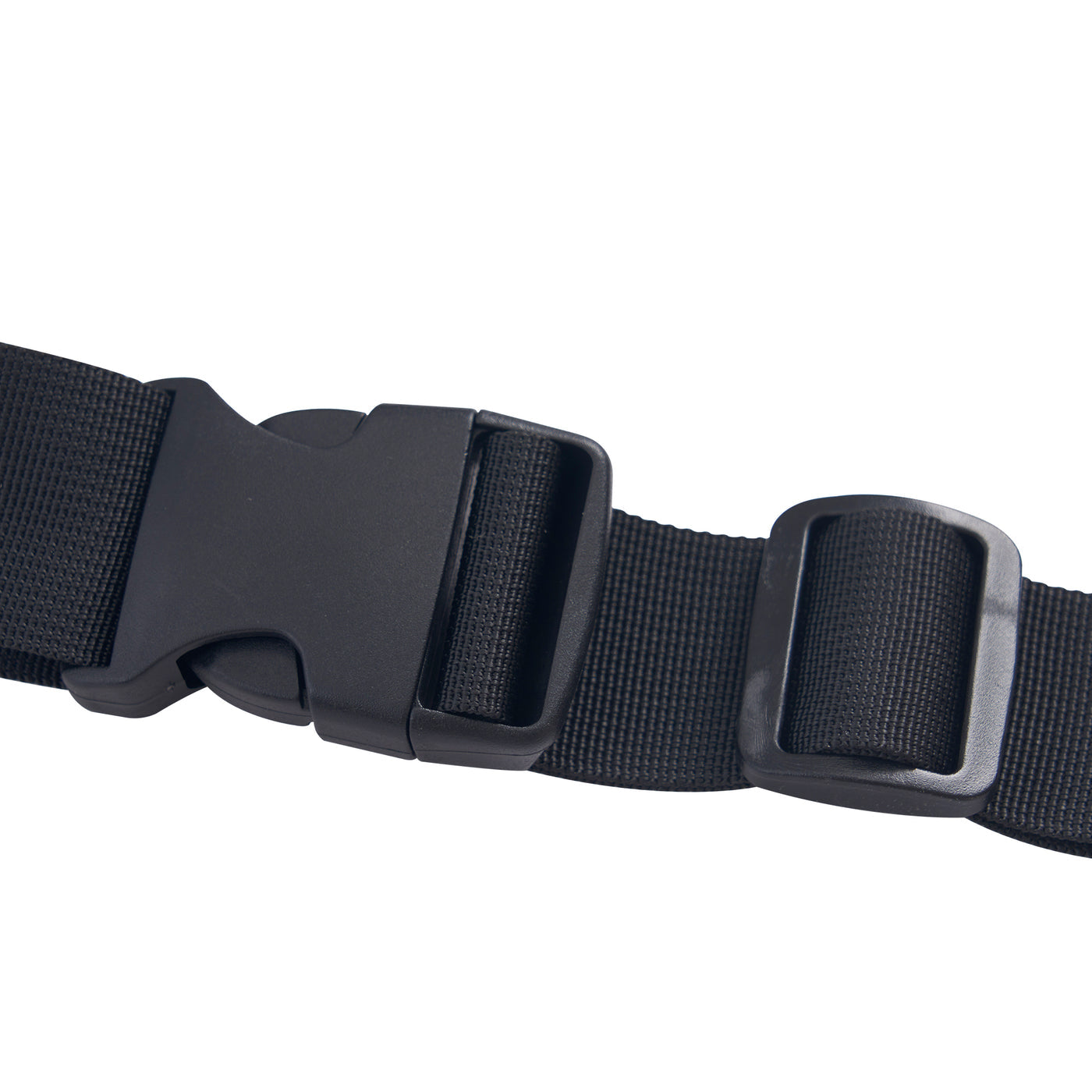Black belt with a buckle on a white background