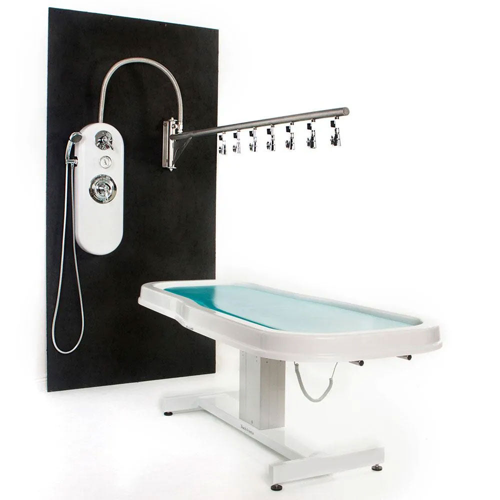 Water Werks Ditto 7 Head Vichy Shower with 88" arm in a sleek, modern wet room.