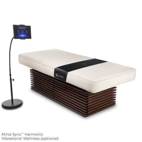 Living Earth Crafts INSIGNIA 2.0: Modern multi-purpose table with left tablet stand, wood base.