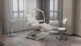 Silverfox America 2246EBM Electric Massage Chair
