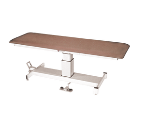 Armedica AM-SP 100 Treatment Table - One Section Top