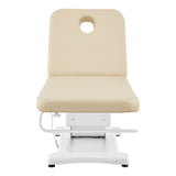 Serenity Electric Treatment Table DIR