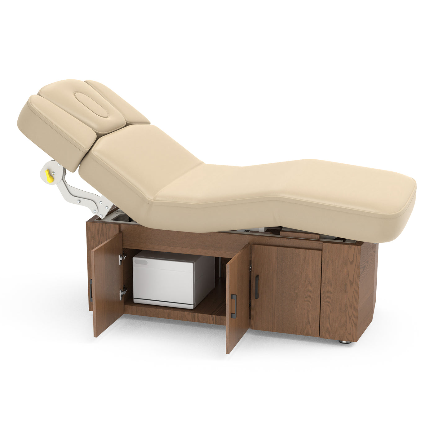 Master Massage Alexander Salon Electric Spa & Massage Table