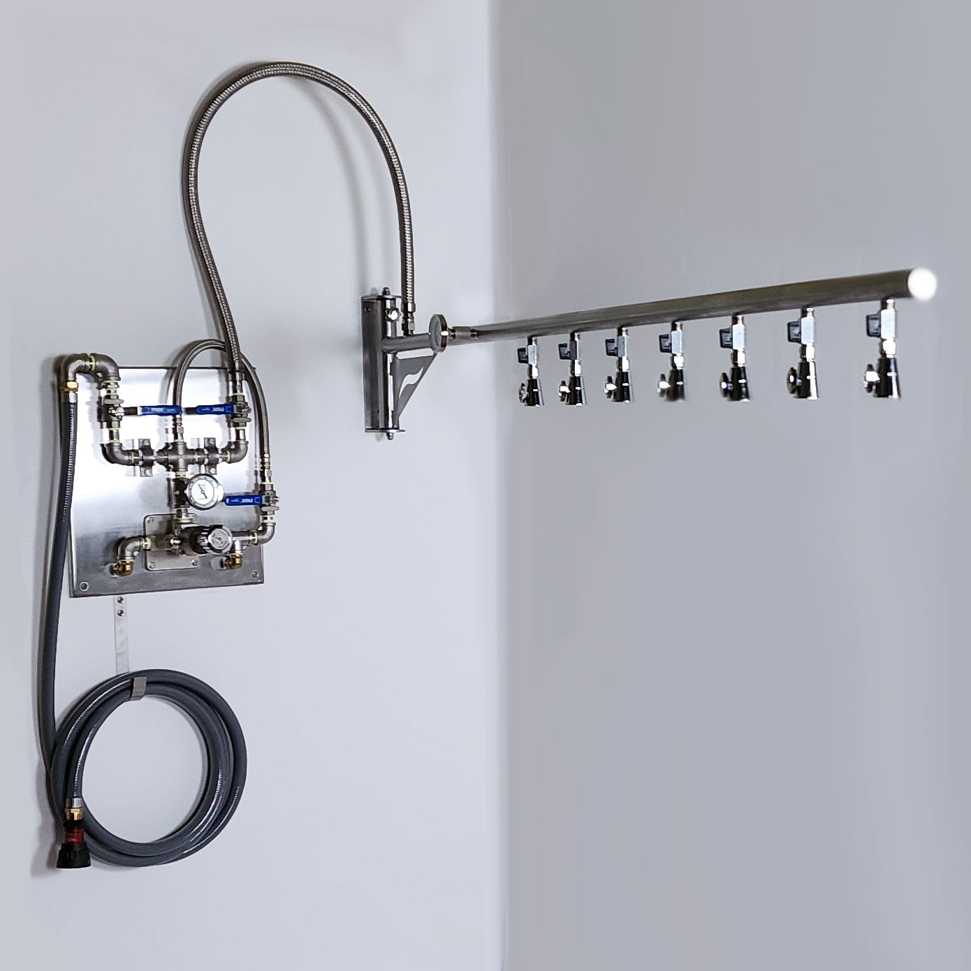 Water Werks Blast Vichy Shower
