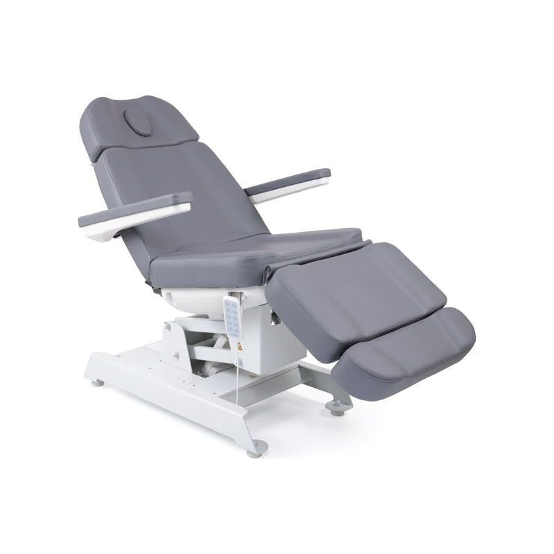 TouchAmerica's Lilac Beauty Chair: gray, adjustable, ergonomic, with armrests and leg support.