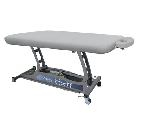 Spa Hands Free Basic Electric Table
