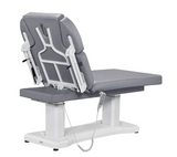 Tranquility 4 Motors Electric Medical Spa Treatment Table DIR