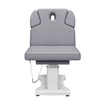 Tranquility 4 Motors Electric Medical Spa Treatment Table DIR