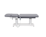 Tranquility 4 Motors Electric Medical Spa Treatment Table DIR