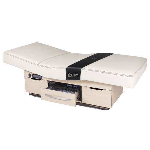 Living Earth Crafts CENTURY CITY dual-pedestal treatment table with digital warming drawer.
