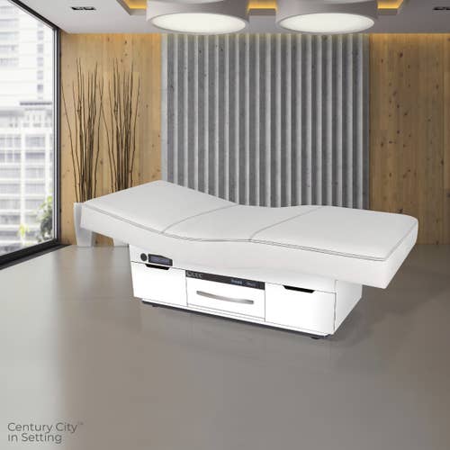 Living Earth Crafts CENTURY CITY dual-pedestal table with Strata Cloudfill in a modern wood room.