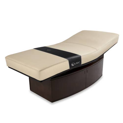 Living Earth Crafts INSIGNIA 2.0 HORIZON table with replaceable mattress and adjustable backrest.