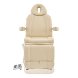 Ink Electric Facial Beauty Bed Chair DIR