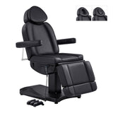 Ink Electric Facial Beauty Bed Chair DIR