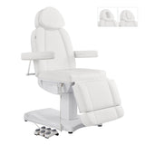 Ink Electric Facial Beauty Bed Chair DIR