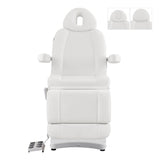 Ink Electric Facial Beauty Bed Chair DIR