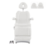 Ink Electric Facial Beauty Bed Chair DIR