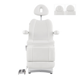 Ink Electric Facial Beauty Bed Chair DIR