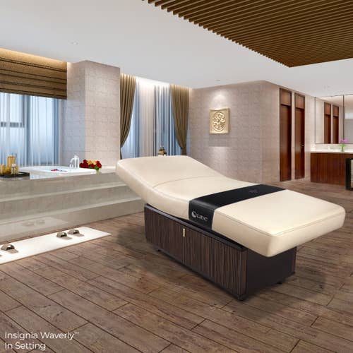Modern spa room with a Living Earth Crafts INSIGNIA 2.0 Waverly treatment table and bathtub.