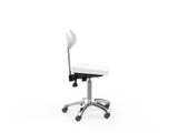Silverfox America 1025E Beauty Stool