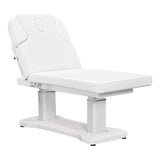 Tranquility 4 Motors Electric Medical Spa Treatment Table DIR