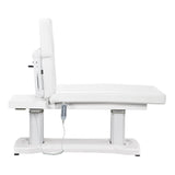 Tranquility 4 Motors Electric Medical Spa Treatment Table DIR