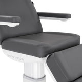 Silverfox America 2222BN Electric Massage Table