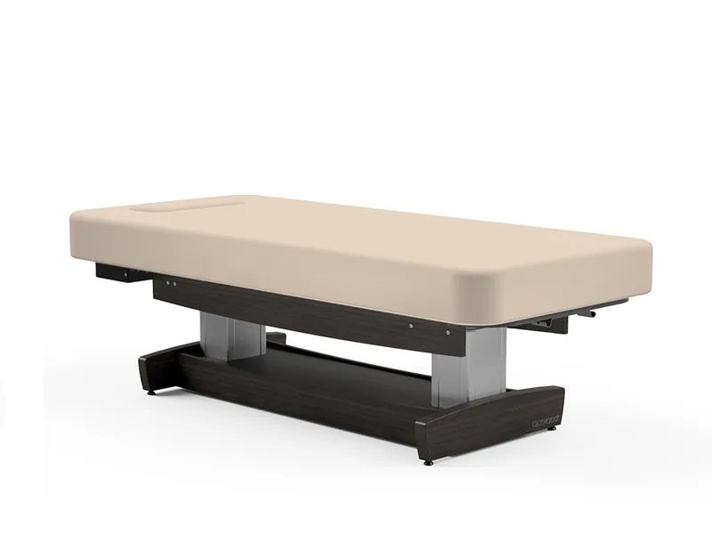 Oakworks PERFORMALIFT Flat Top Electric Lift Table, beige, rectangular, dark wood base.