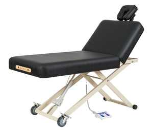 Sierra Comfort Adjustable Back Rest Electric Lift Table