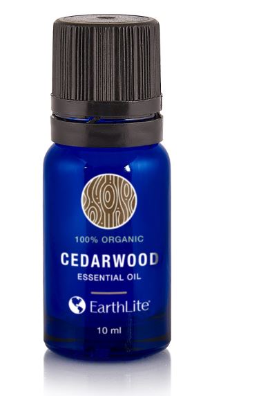 Earthlite Holistic Alchemy Essential Oils Collection - Cedarwood