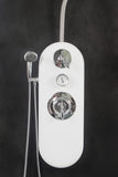 Water Werks Ditto 7 Head Vichy Shower – 88” Shower Arm