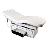 Touch America MESA Treatment Table