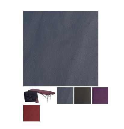 Five color swatches with Nirvana DHARMA SuperLite Massage Table and carrying case shown.