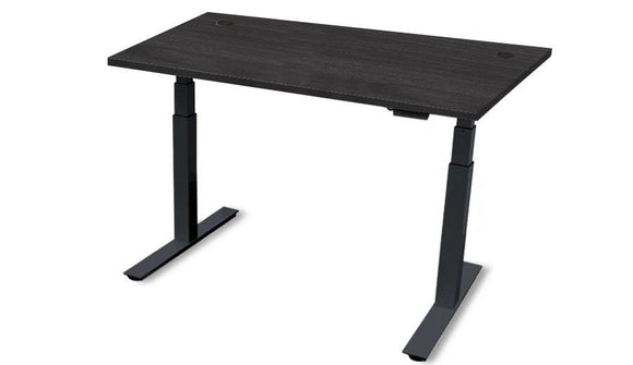 Rev.247 REV100-4824 Height Adjusting Standing Desk - Rectangle