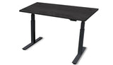 Rev.247 REV100-4824 Height Adjusting Standing Desk - Rectangle