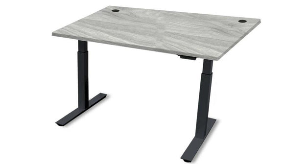 Rev.247 REV100-4830 Height Adjusting Standing Desk - Rectangle