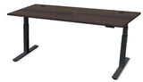 Rev.247 REV100-7224 Height Adjusting Standing Desk - Rectangle