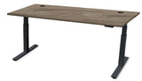 Rev.247 REV100-7224 Height Adjusting Standing Desk - Rectangle
