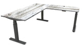 Rev.247 REV200 Height Adjusting Standing Desk