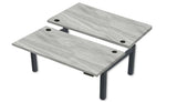 Rev.247 REV300-4824 Dual Height-Adjustable Desk - Rectangle