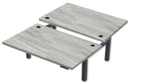Rev.247 REV300-4830 Dual Height-Adjustable Desk - Rectangle