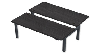 Rev.247 REV300-6024 Dual Height-Adjustable Desk - Rectangle
