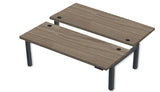 Rev.247 REV300-6024 Dual Height-Adjustable Desk - Rectangle