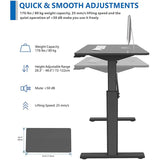 Ergomaker Single Motor Sit-Stand Desk SM204