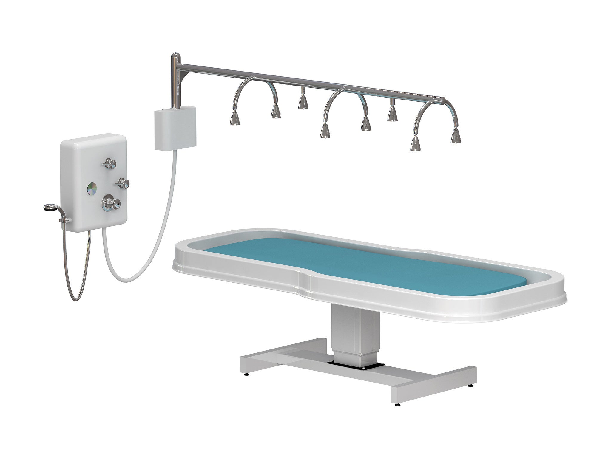 TouchAmerica NEPTUNE Battery/Vichy Shower Package with adjustable heads for hydrotherapy.