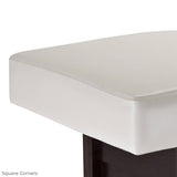 Living Earth Crafts PEDESTAL Salon Top Electric Lift Table