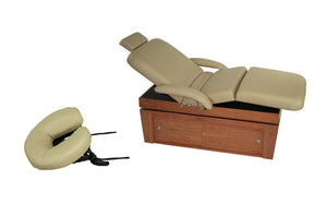 Touch America VIOLIN POWERTILT Massage Table